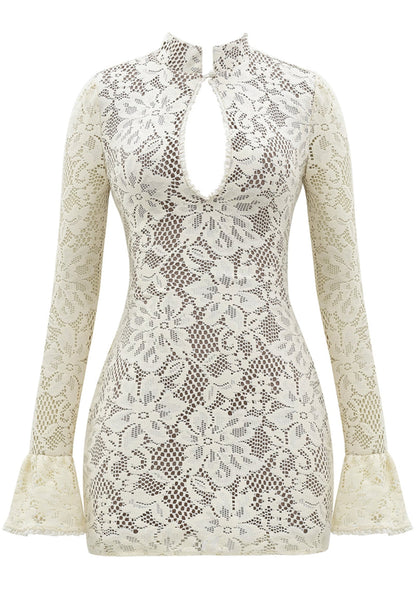 Tammy Lace Mini Dress