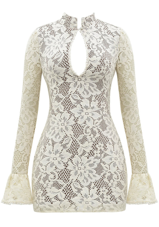 Tammy Lace Mini Dress