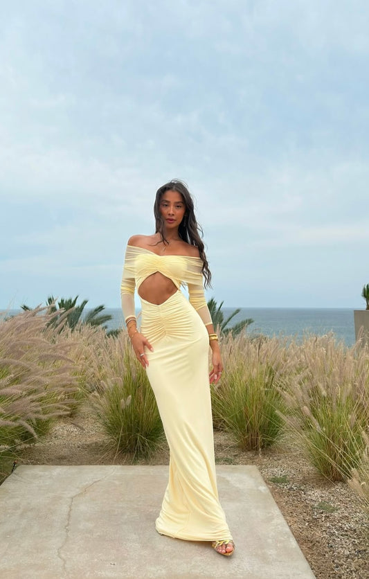 Layal Mesh Maxi Dress
