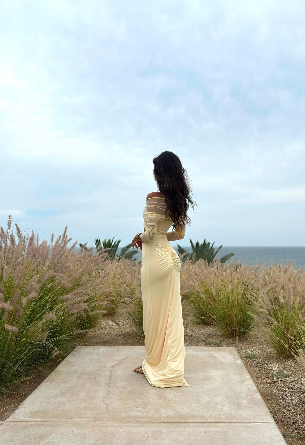 Layal Mesh Maxi Dress