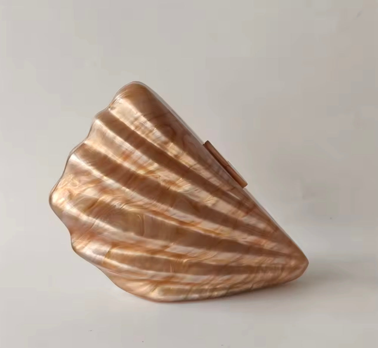 Côte Bronze Shell Clutch