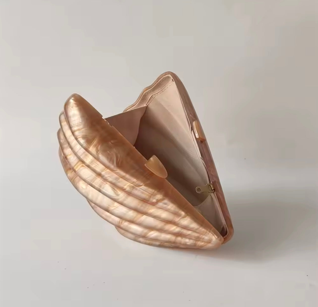 Côte Bronze Shell Clutch