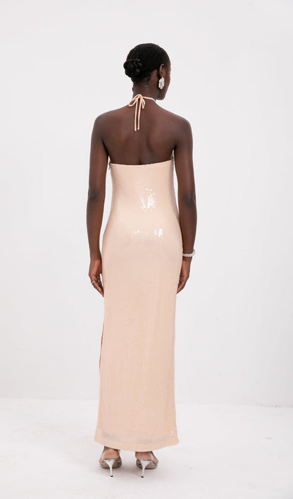 Iris Sequin Maxi Dress
