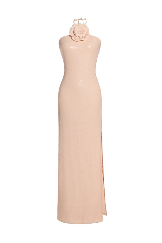 Iris Sequin Maxi Dress